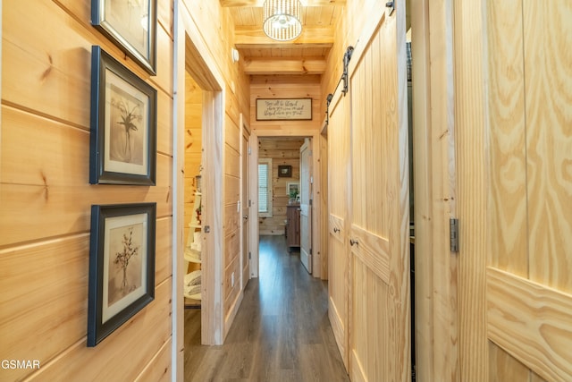 corridor with wood finished floors, wood walls, beamed ceiling, and a barn door