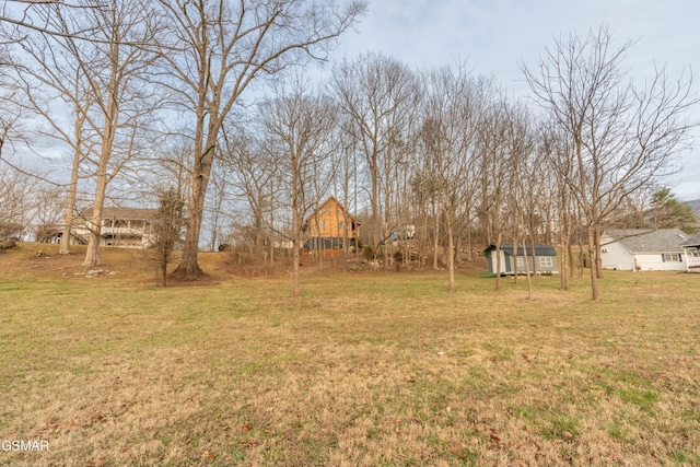 view of yard featuring an outdoor structure