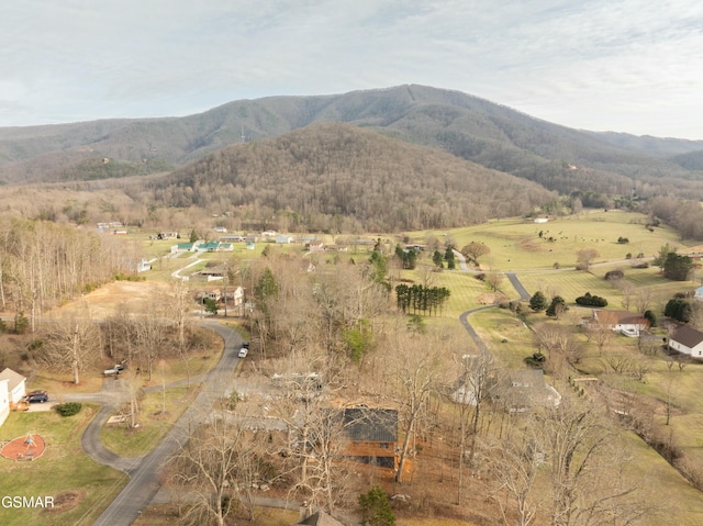 mountain view with a rural view