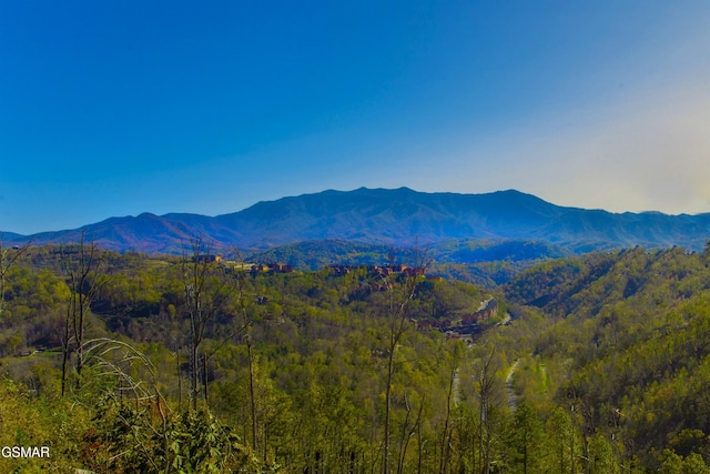 1156 Hemlock Dr, Gatlinburg, TN 37738 - view of mountain backdrop with a forest