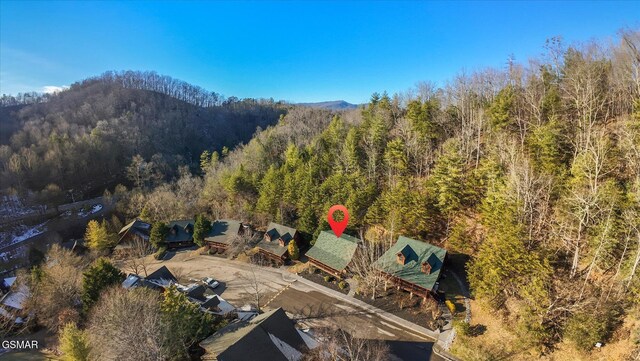 birds eye view of property with a mountain view