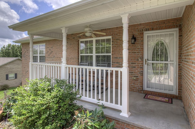 4723 Chesney Meadows Dr, Strawberry Plains, TN 37871 - photo 4