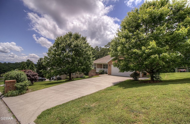 4723 Chesney Meadows Dr, Strawberry Plains, TN 37871 - photo 39
