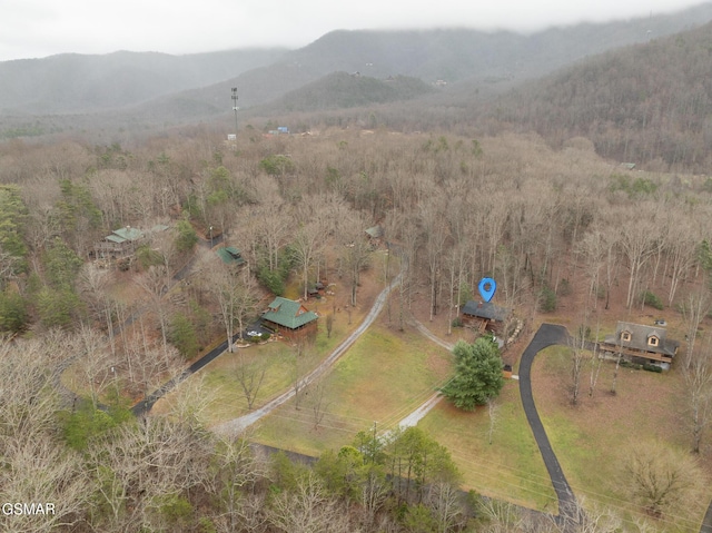 aerial view featuring a mountain view