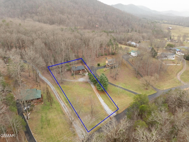 bird's eye view with a mountain view and a rural view