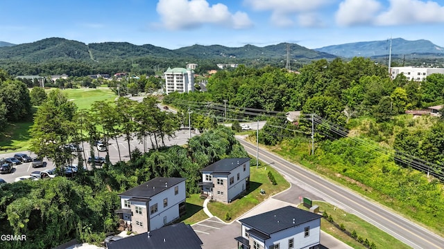 576 Dollywood Ln Unit 1, Pigeon Forge, TN 37862 - photo 6
