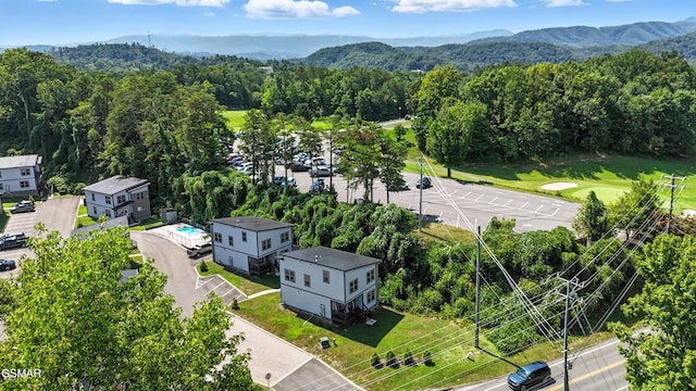 576 Dollywood Ln Unit 1, Pigeon Forge, TN 37862 - photo 12