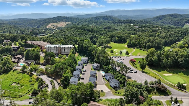 576 Dollywood Ln Unit 1, Pigeon Forge, TN 37862 - photo 9