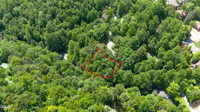 LOT3A Maples Rd, Gatlinburg, TN 37738 - photo 9