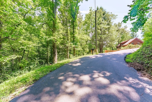 LOT3A Maples Rd, Gatlinburg, TN 37738 - photo 5