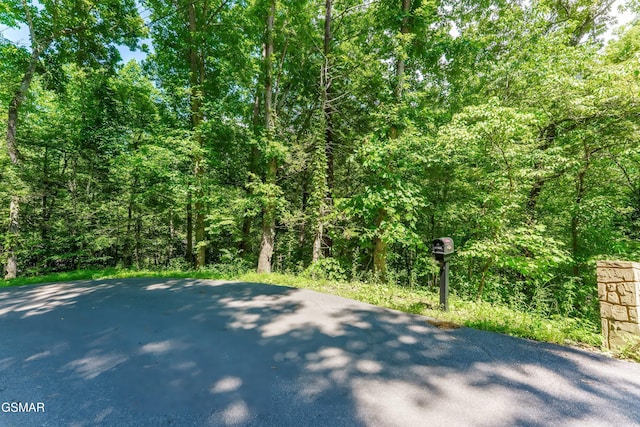 LOT3A Maples Rd, Gatlinburg, TN 37738 - photo 1