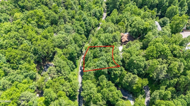 LOT3A Maples Rd, Gatlinburg, TN 37738 - photo 8
