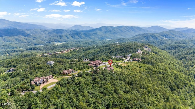 3034 Smoky Bluff Trl, Sevierville, TN 37862 - photo 46
