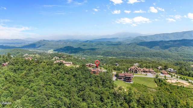 3034 Smoky Bluff Trl, Sevierville, TN 37862 - photo 45