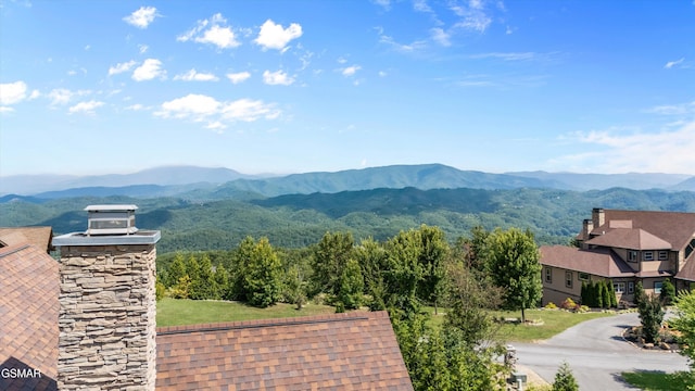 3034 Smoky Bluff Trl, Sevierville, TN 37862 - photo 42