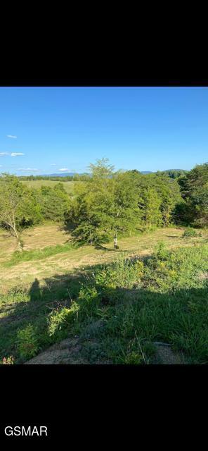 2644 Flat Creek E Blvd, Sevierville, TN 37876 - photo 1