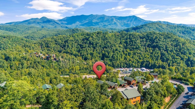 bird's eye view featuring a forest view and a mountain view