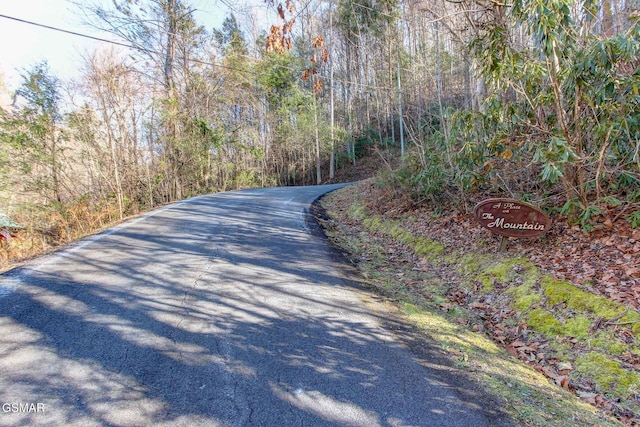505 Thissa Way, Gatlinburg, TN 37738 - photo 11