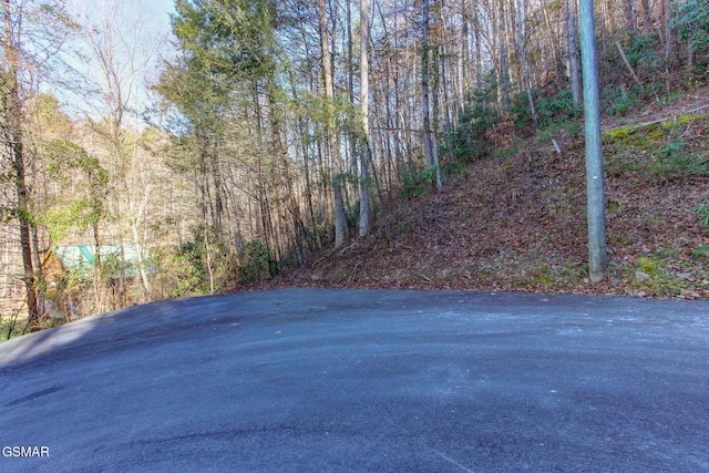 505 Thissa Way, Gatlinburg, TN 37738 - photo 8