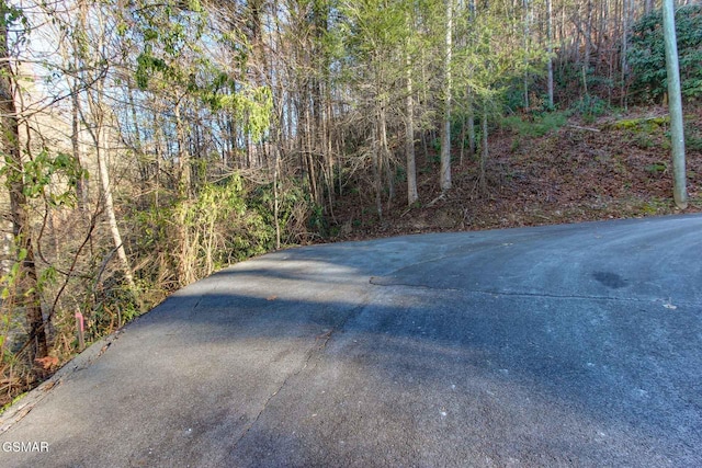 505 Thissa Way, Gatlinburg, TN 37738 - photo 9