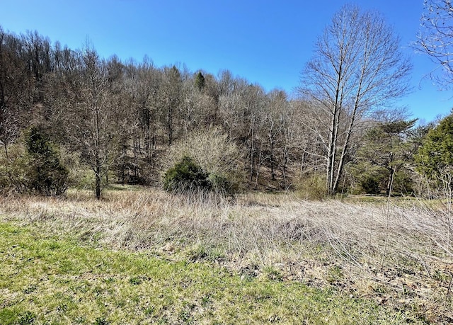 Listing photo 2 for LOT20 Perilla Rd, Cosby TN 37722