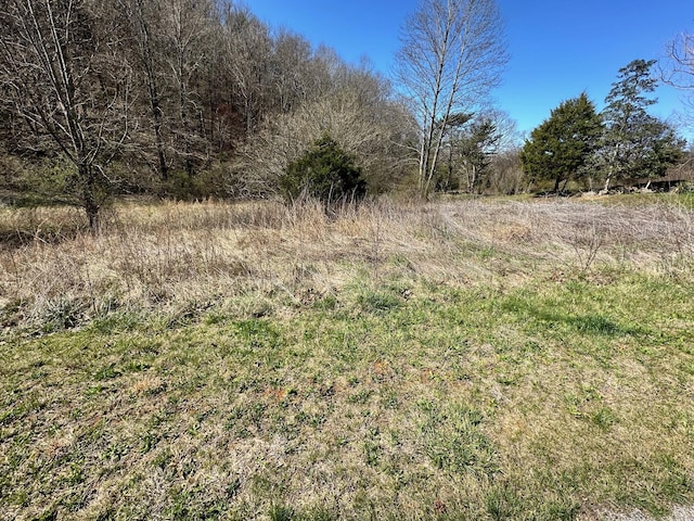 Listing photo 3 for LOT20 Perilla Rd, Cosby TN 37722