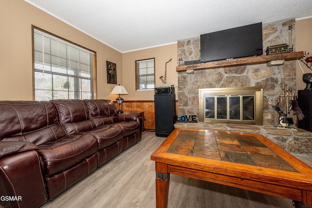 311 E Chestnut Hill Rd, Townsend, TN 37882 - living room featuring a healthy amount of sunlight, crown molding, and a stone fireplace