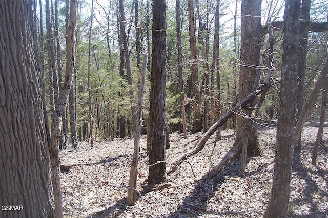 000 Flat Creek Rd, Sevierville, TN 37876 - photo 12