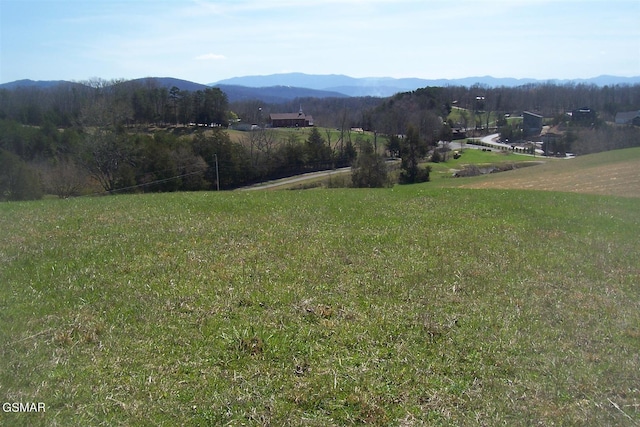 000 Flat Creek Rd, Sevierville, TN 37876 - photo 20