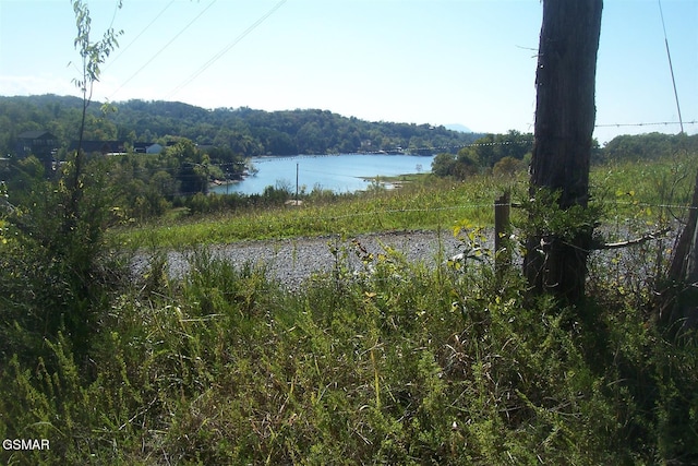 000 Flat Creek Rd, Sevierville, TN 37876 - photo 5