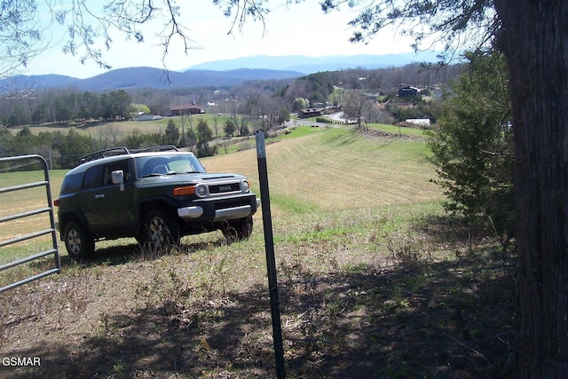 000 Flat Creek Rd, Sevierville, TN 37876 - photo 7