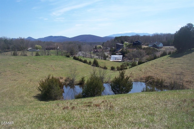 000 Flat Creek Rd, Sevierville, TN 37876 - photo 16