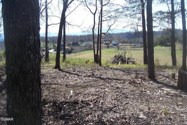 000 Flat Creek Rd, Sevierville, TN 37876 - photo 10