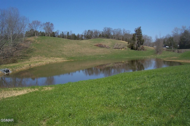 000 Flat Creek Rd, Sevierville, TN 37876 - photo 2