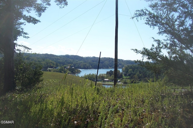 000 Flat Creek Rd, Sevierville, TN 37876 - photo 6