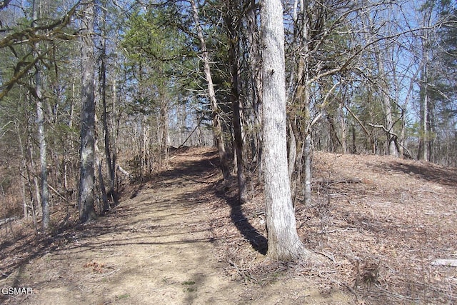 000 Flat Creek Rd, Sevierville, TN 37876 - photo 11
