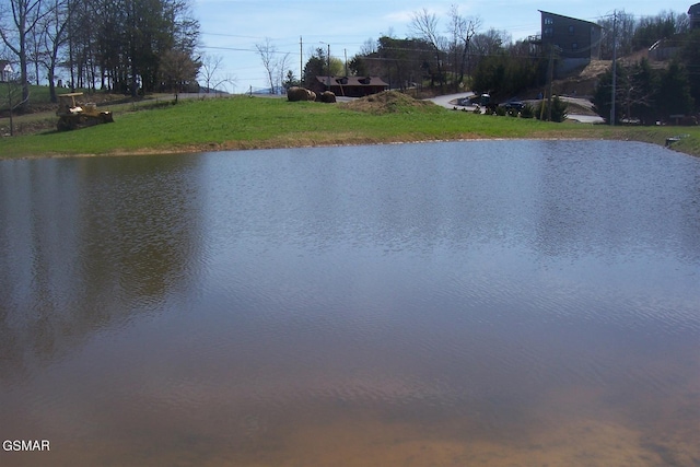 000 Flat Creek Rd, Sevierville, TN 37876 - photo 9
