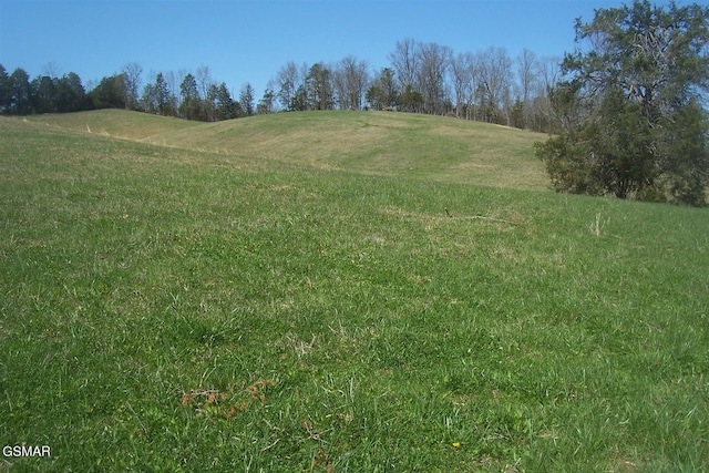 000 Flat Creek Rd, Sevierville, TN 37876 - photo 13