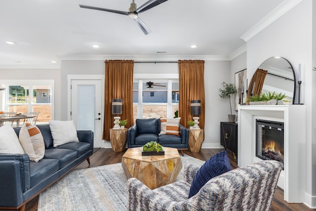 living room featuring ceiling fan, dark hardwood / wood-style floors, and crown molding