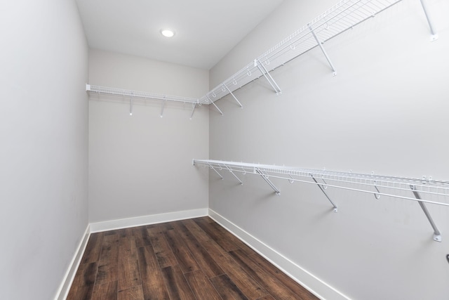 walk in closet with dark hardwood / wood-style floors