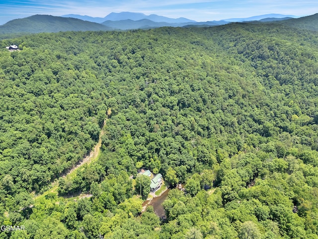 3541 Twin Pines Way, Sevierville, TN 37876 - aerial view of a forest and a mountainous background