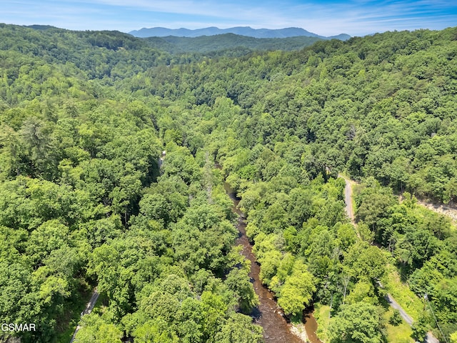 3541 Twin Pines Way, Sevierville, TN 37876 - aerial view of a heavily wooded area and a mountain backdrop
