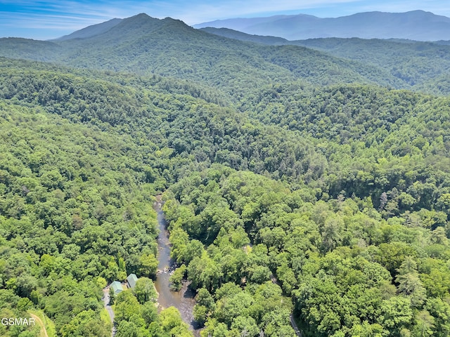 3541 Twin Pines Way, Sevierville, TN 37876 - bird's eye view of a forest and a mountain backdrop