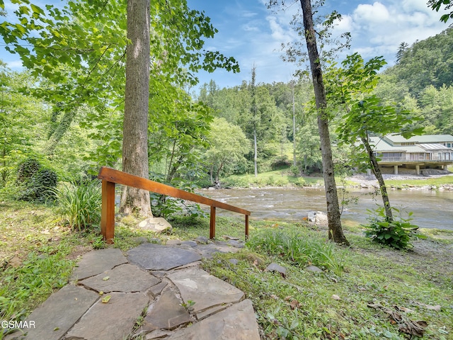 3541 Twin Pines Way, Sevierville, TN 37876 - view of yard featuring a view of trees and a water view