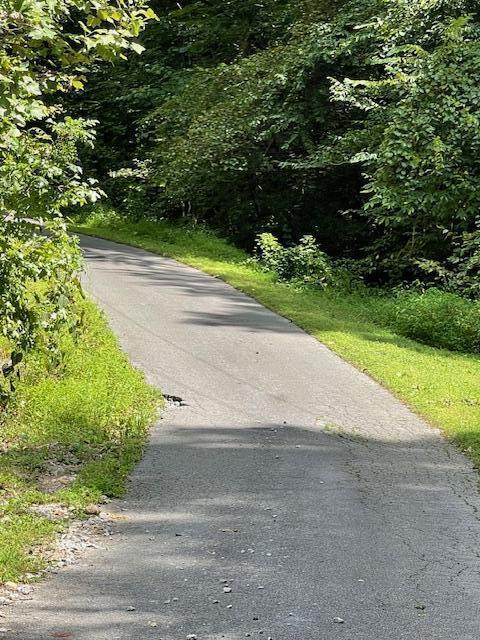 view of road