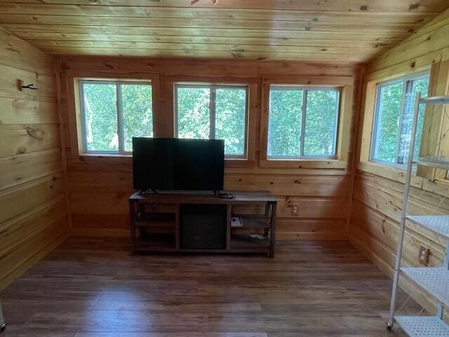 interior space featuring wooden walls, wood ceiling, vaulted ceiling, and wood-type flooring