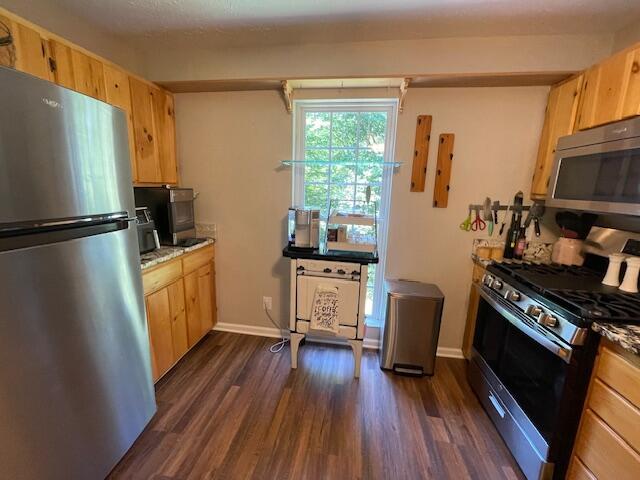 kitchen with appliances with stainless steel finishes, light brown cabinets, and dark hardwood / wood-style floors