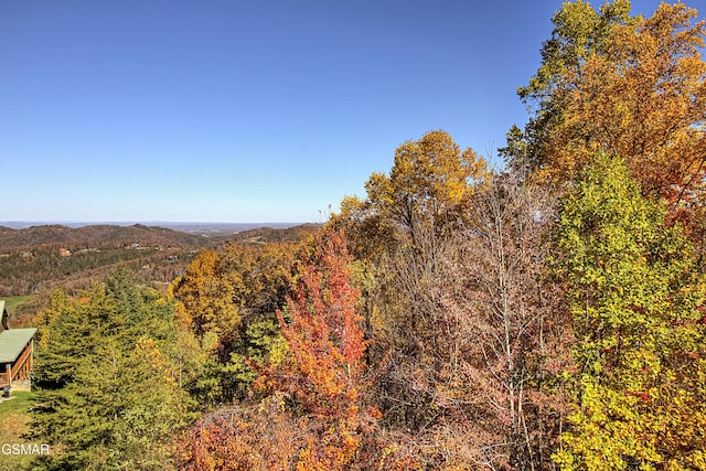 2422 Majestic View Way, Sevierville, TN 37862 - view of mountain backdrop with a forest