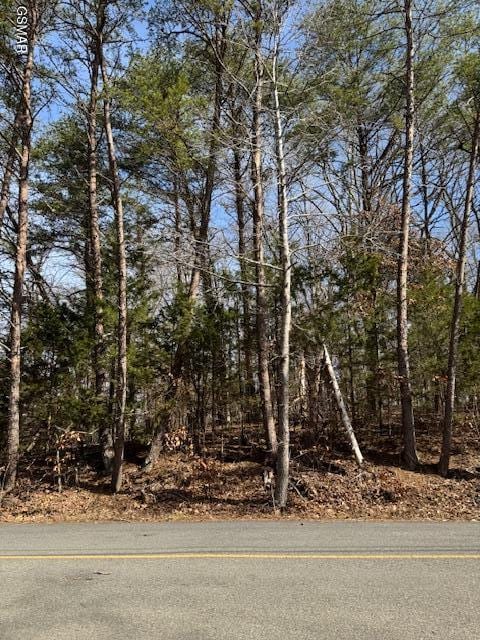 LOT1191 Tree Line Ln, Baneberry TN, 37890 land for sale