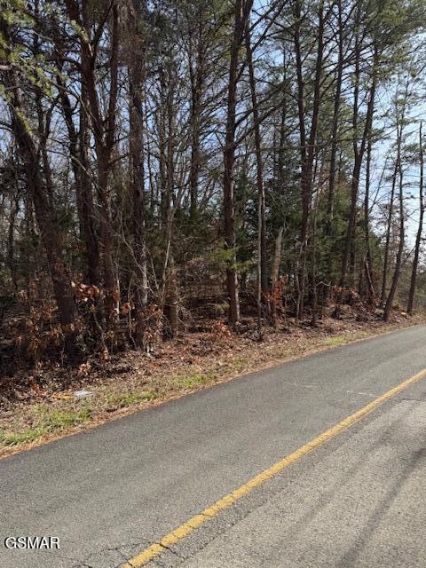 Listing photo 3 for LOT1191 Tree Line Ln, Baneberry TN 37890